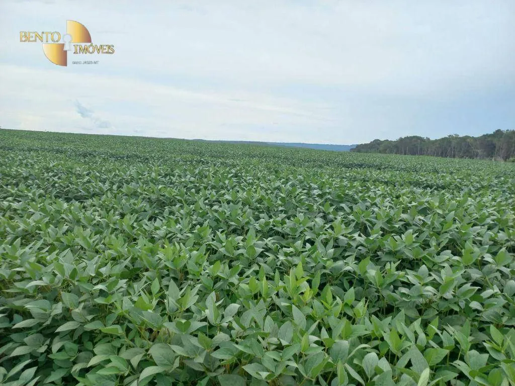 Fazenda à venda e para Arrendar de 3.025 ha em Juara, MT, Brasil