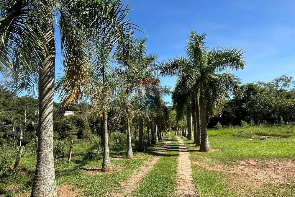 Sítio à venda de 5 ha em Itatiba, SP, Brasil