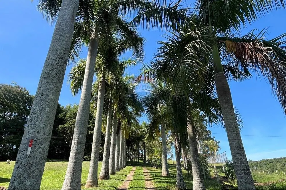 Sítio à venda de 5 ha em Itatiba, SP, Brasil