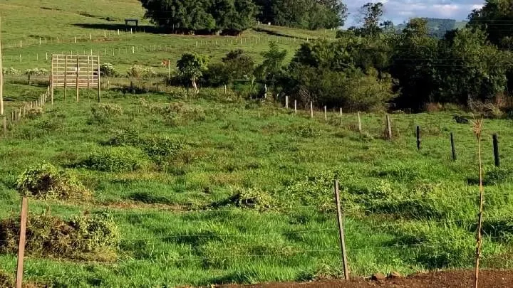 Country home for sale of 4,000 m² in Santo Antônio da Patrulha, RS, Brazil