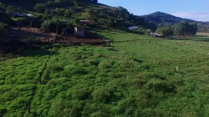 Country home for sale of 4,000 m² in Santo Antônio da Patrulha, RS, Brazil