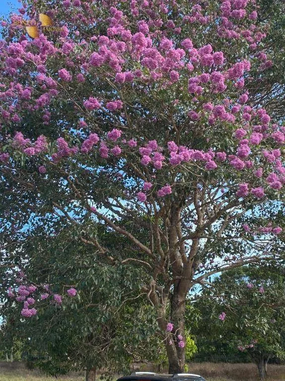 Sítio à venda de 45 ha em Acorizal, MT, Brasil
