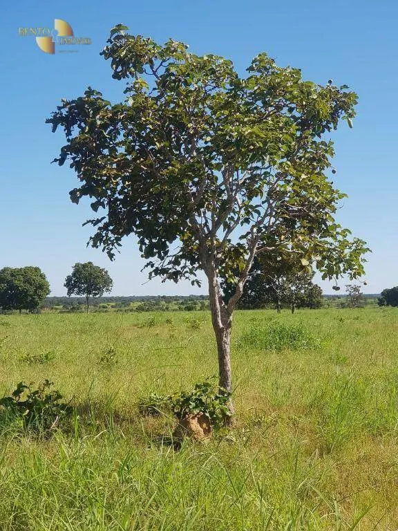 Sítio à venda de 45 ha em Acorizal, MT, Brasil