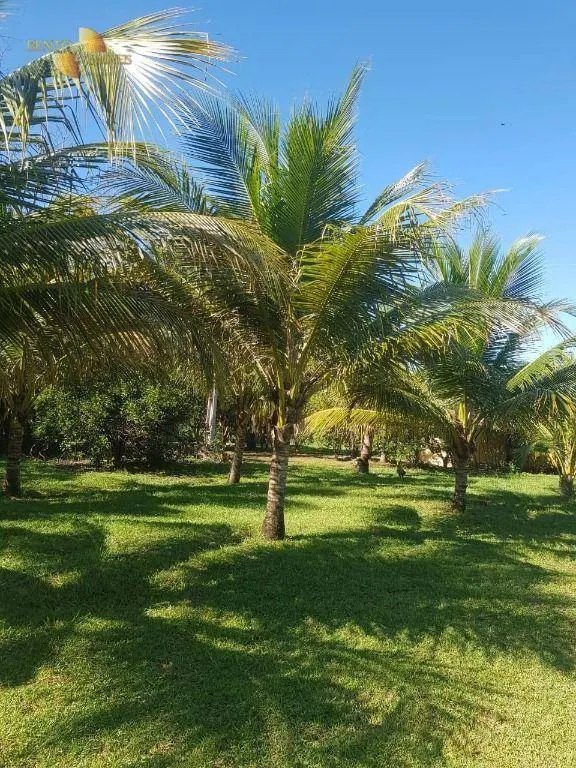 Sítio à venda de 45 ha em Acorizal, MT, Brasil