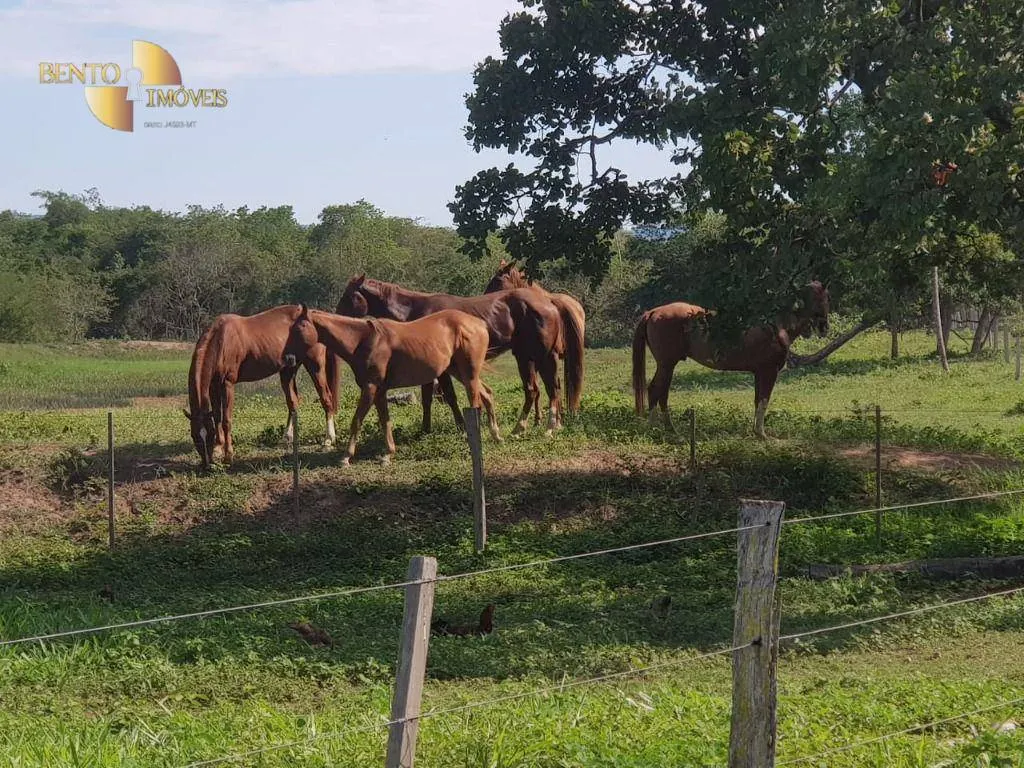 Sítio à venda de 45 ha em Acorizal, MT, Brasil