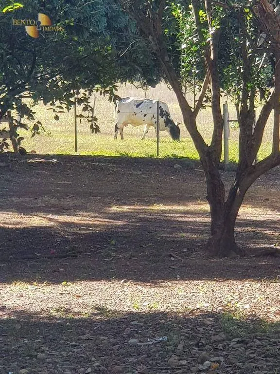 Sítio à venda de 45 ha em Acorizal, MT, Brasil