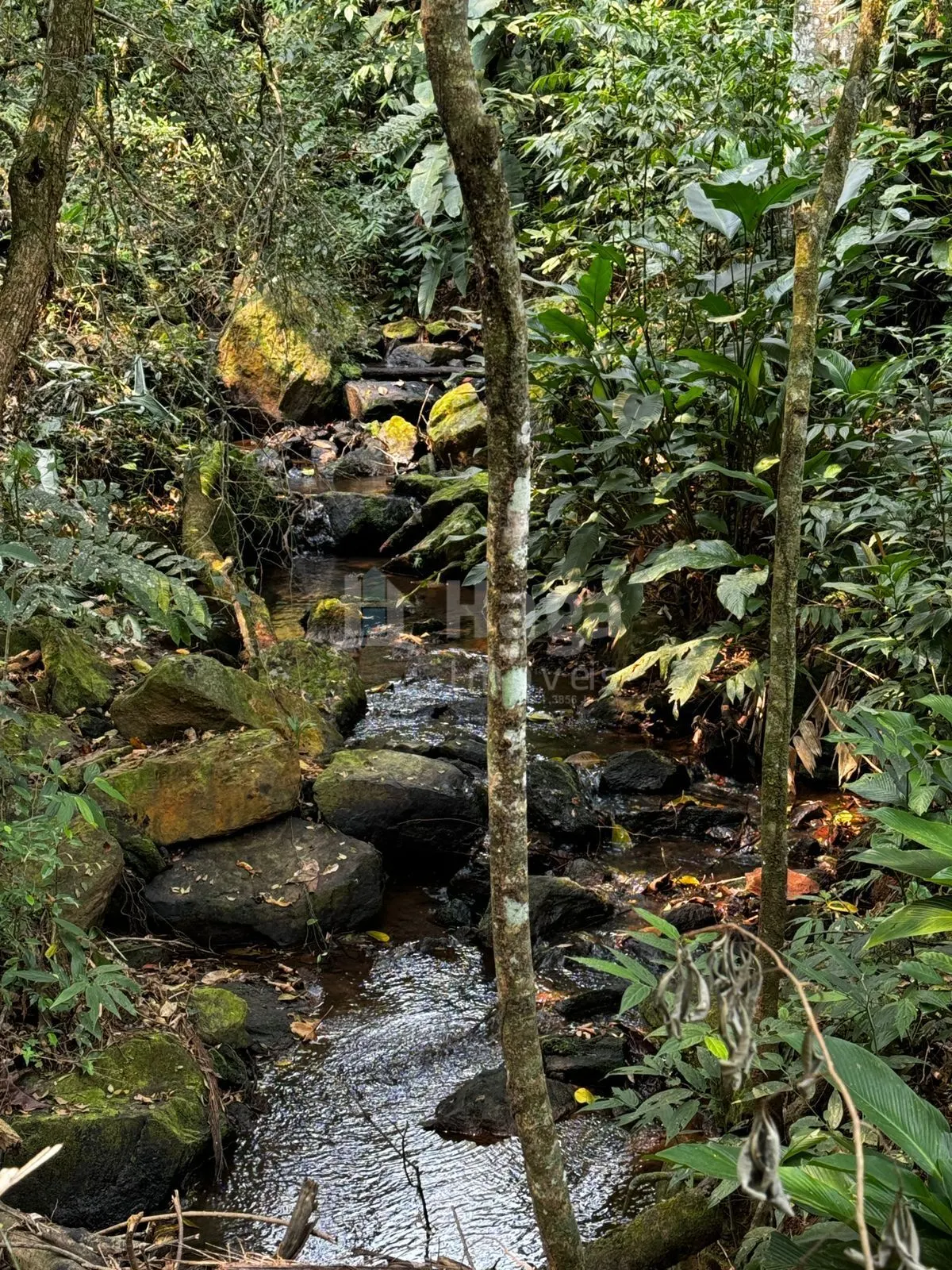 Fazenda à venda de 5.251 m² em Canelinha, SC, Brasil