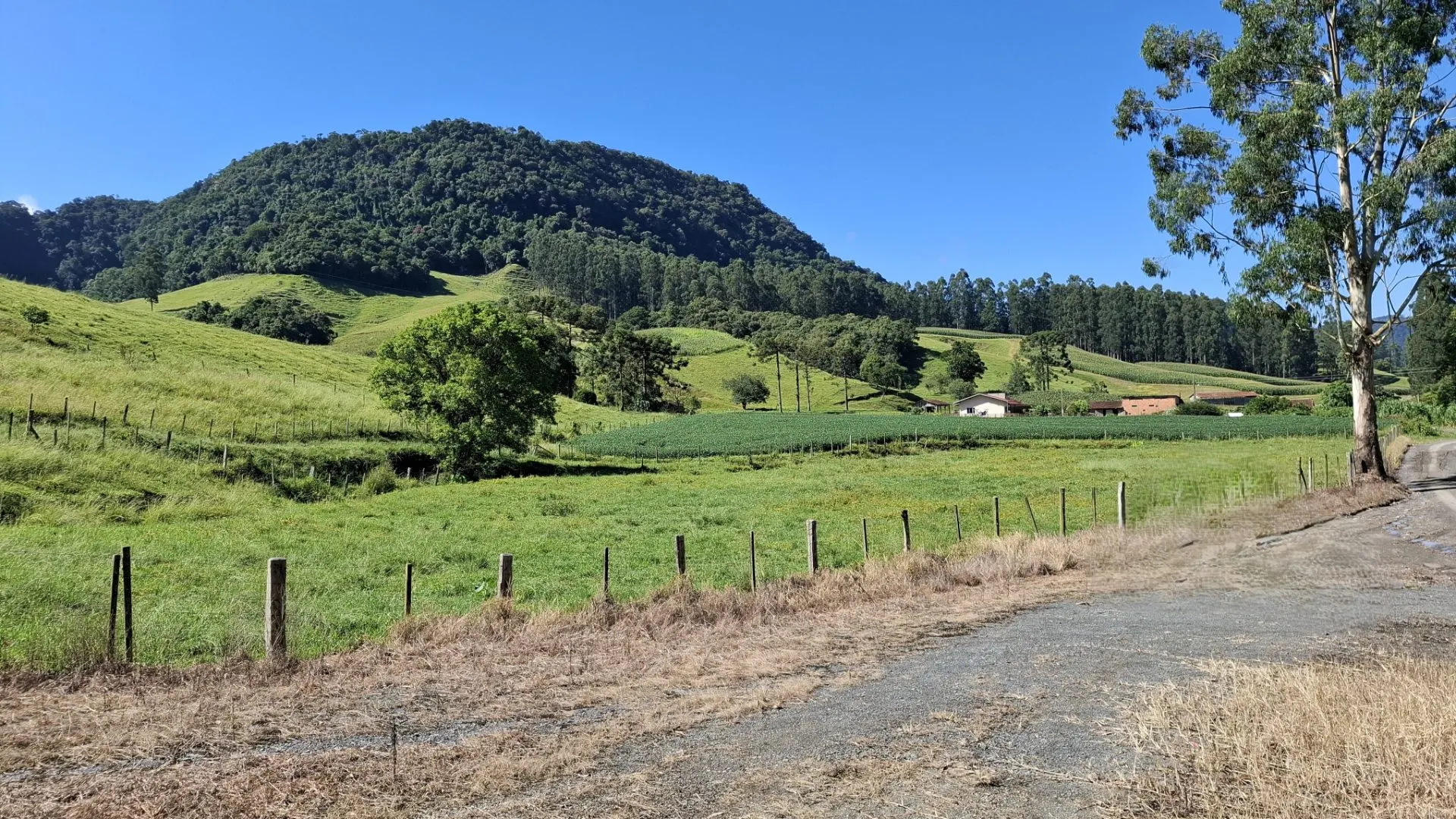 Sítio à venda de 16 ha em Agrolândia, SC, Brasil