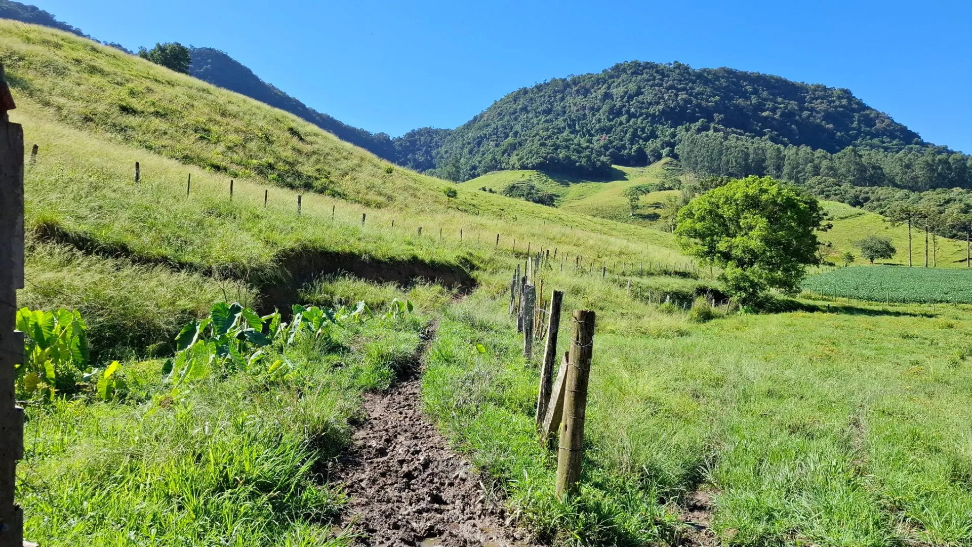 Sítio à venda de 16 ha em Agrolândia, SC, Brasil