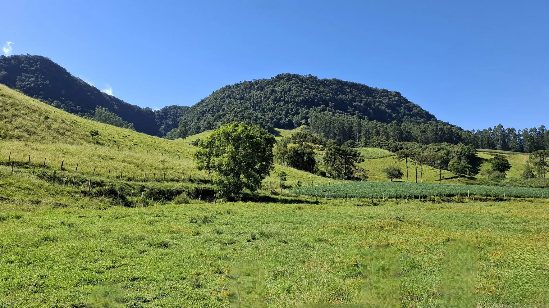 Sítio à venda de 16 ha em Agrolândia, SC, Brasil