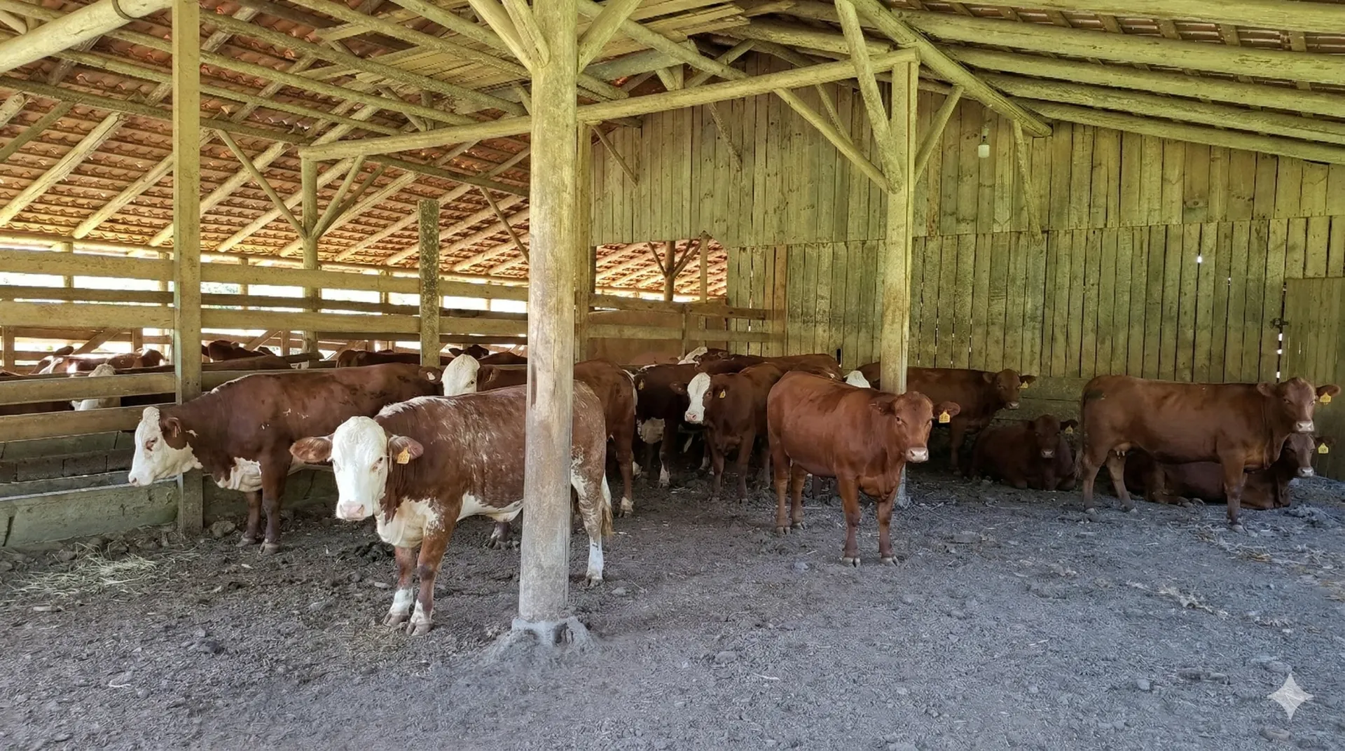 Sítio à venda de 16 ha em Agrolândia, SC, Brasil