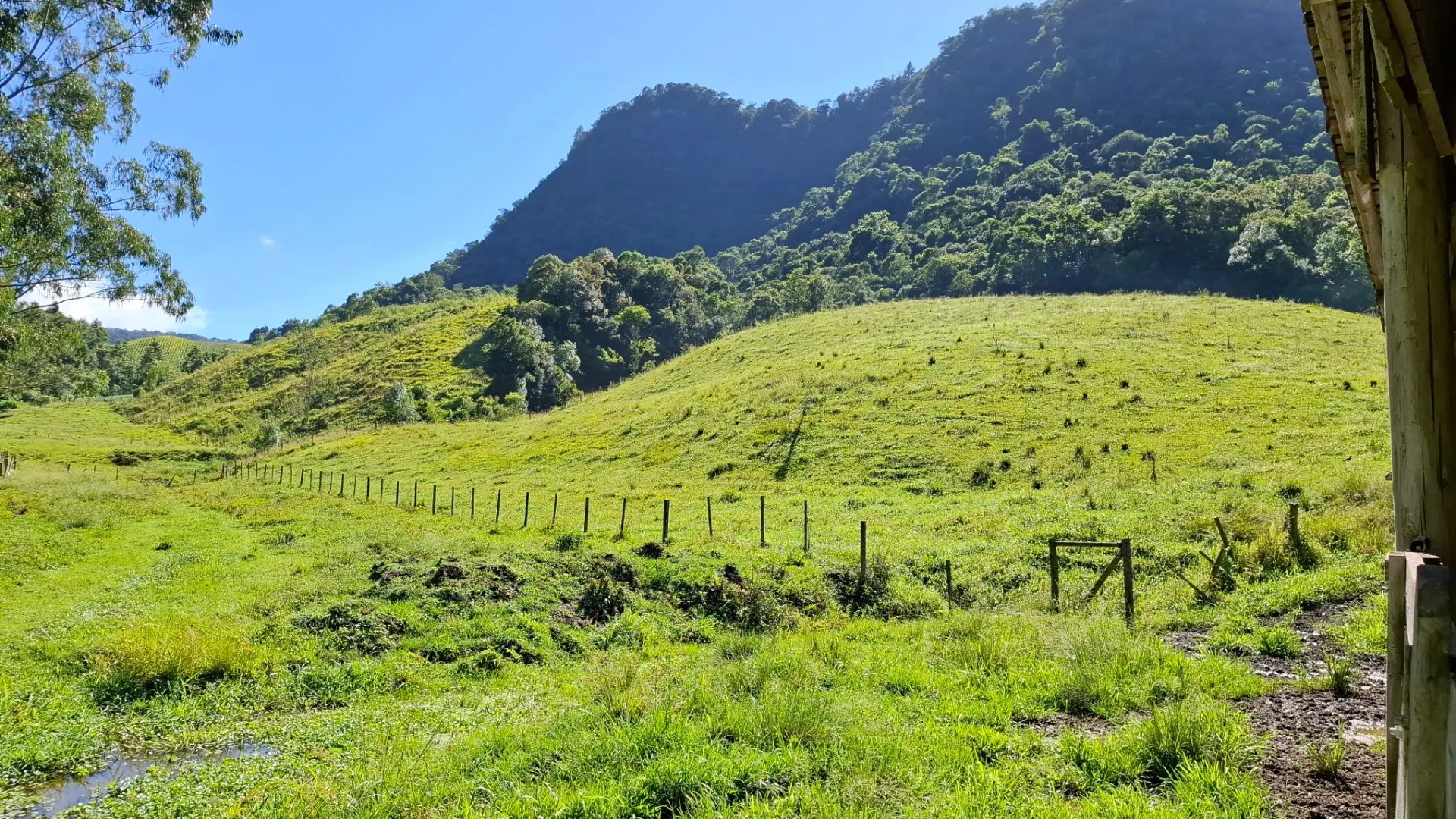 Sítio à venda de 16 ha em Agrolândia, SC, Brasil
