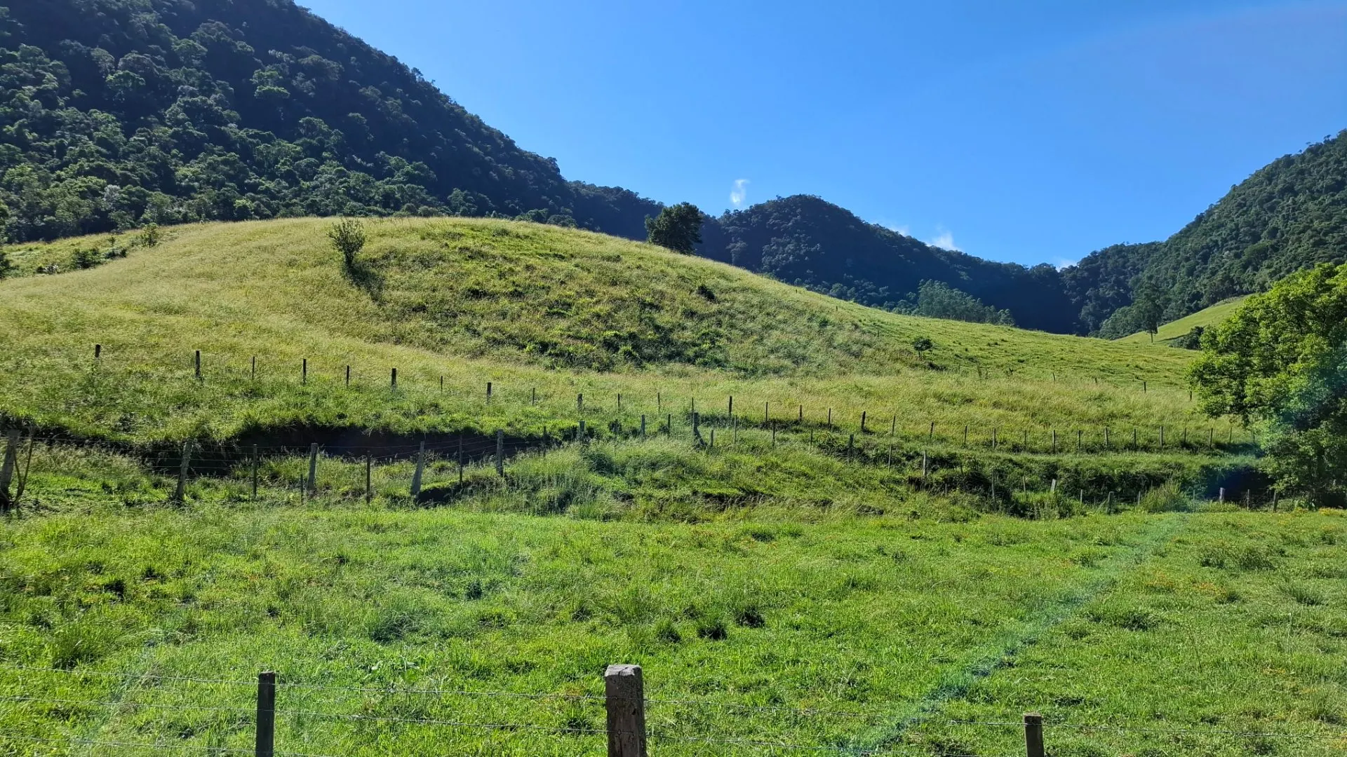 Sítio à venda de 16 ha em Agrolândia, SC, Brasil