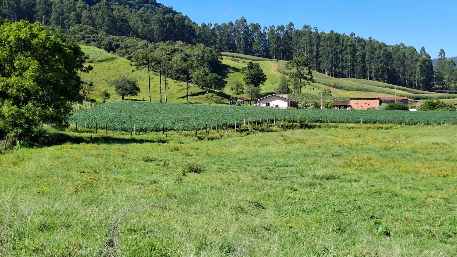 Sítio à venda de 16 ha em Agrolândia, SC, Brasil