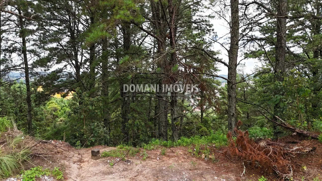 Plot for sale of 2,020 m² in Campos do Jordão, SP, Brazil