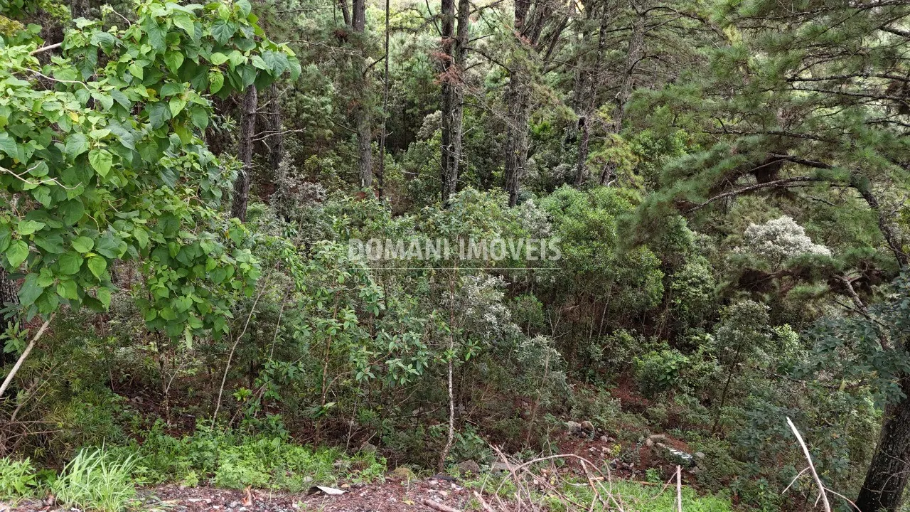 Plot for sale of 2,020 m² in Campos do Jordão, SP, Brazil