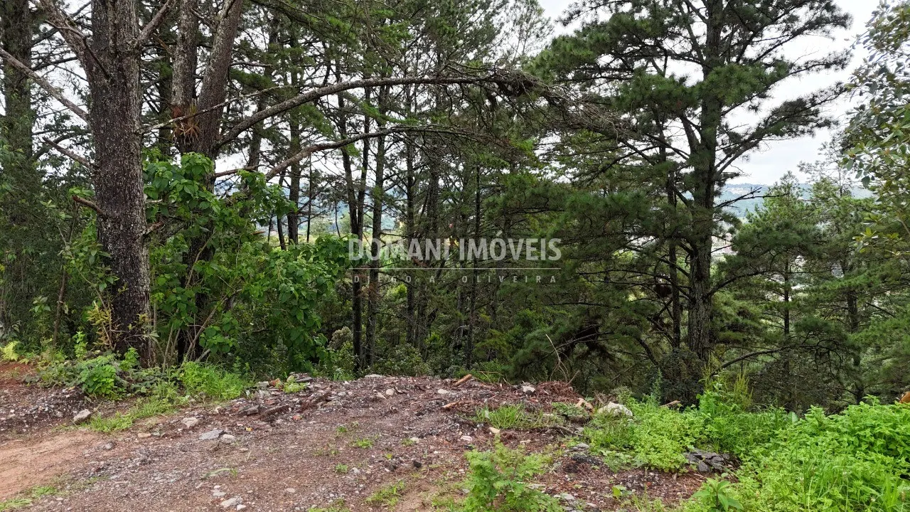 Plot for sale of 2,020 m² in Campos do Jordão, SP, Brazil