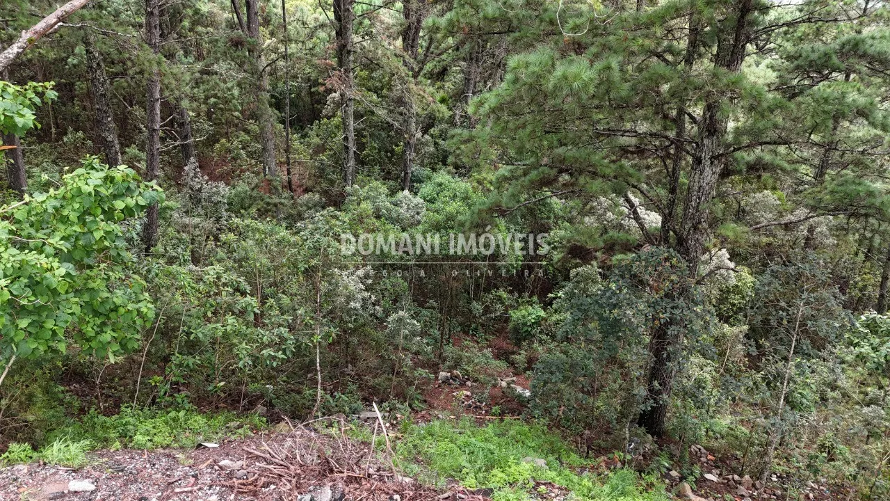 Plot for sale of 2,020 m² in Campos do Jordão, SP, Brazil