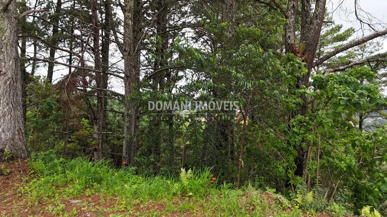 Plot for sale of 2,020 m² in Campos do Jordão, SP, Brazil