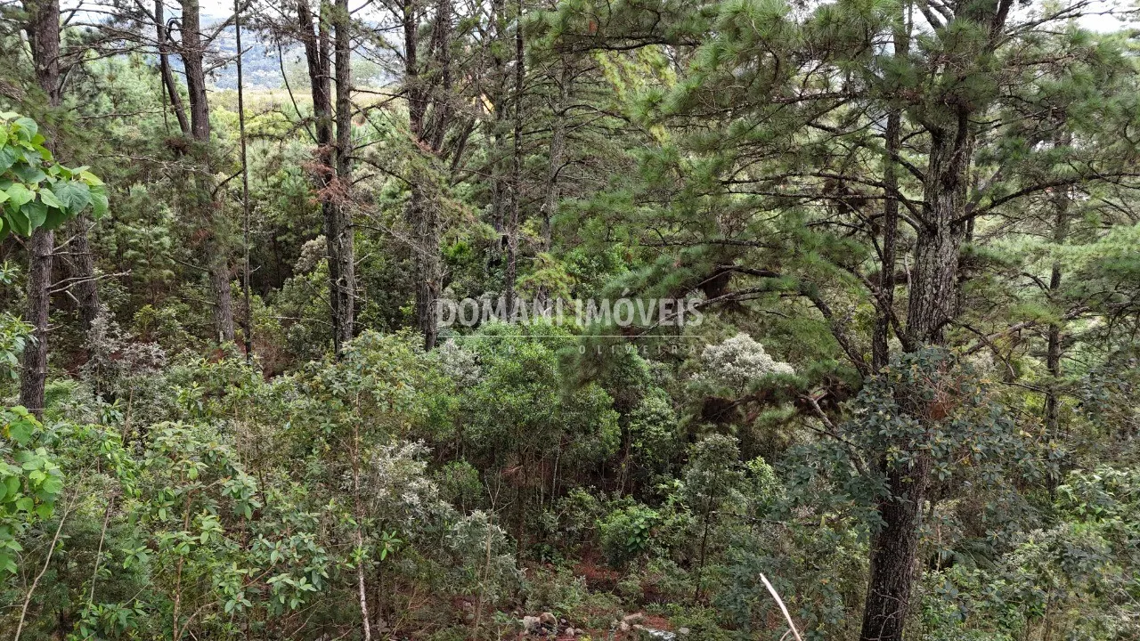 Plot for sale of 2,020 m² in Campos do Jordão, SP, Brazil