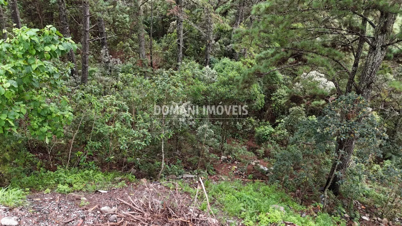 Plot for sale of 2,020 m² in Campos do Jordão, SP, Brazil