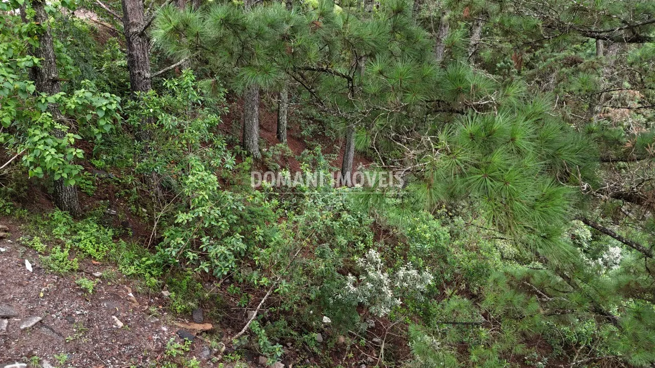 Plot for sale of 2,020 m² in Campos do Jordão, SP, Brazil