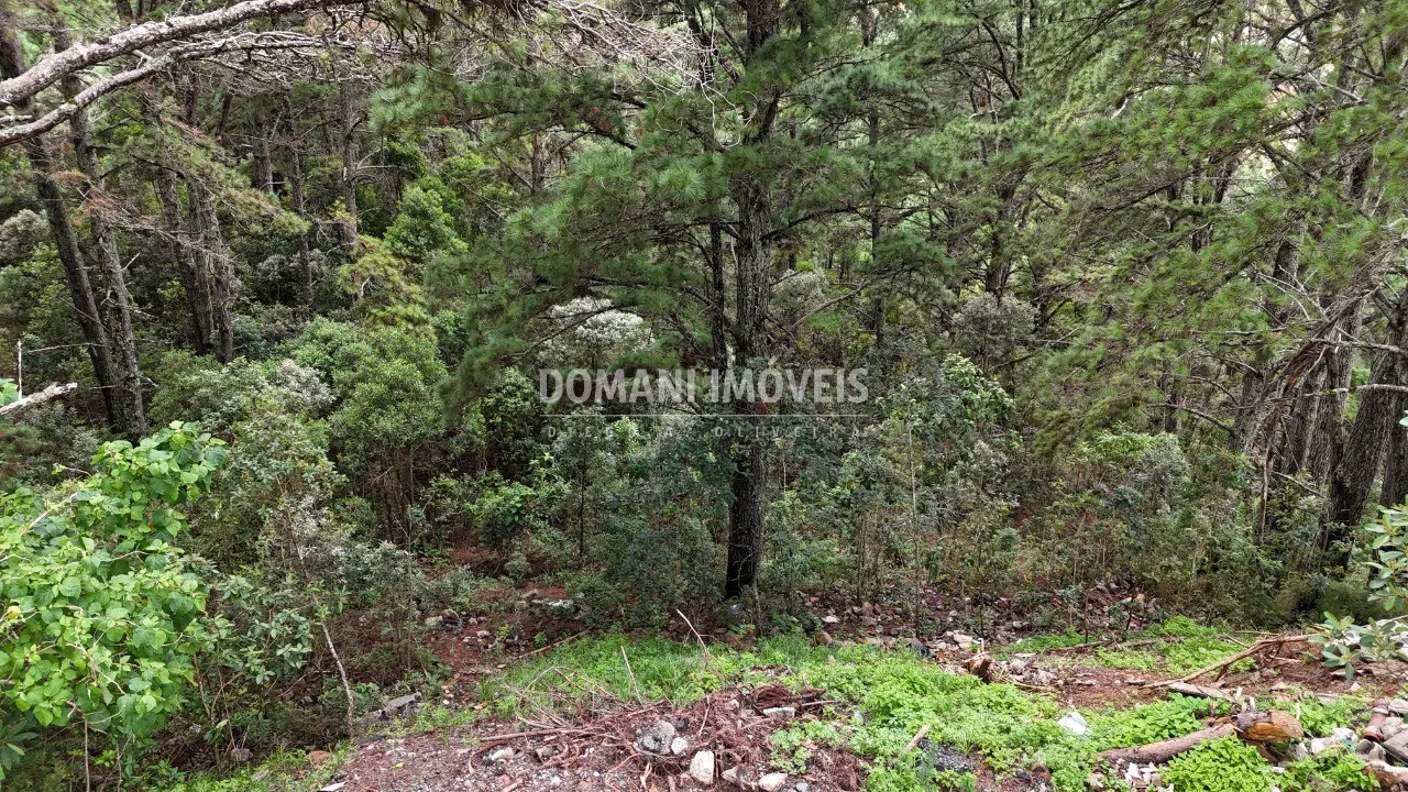 Plot for sale of 2,020 m² in Campos do Jordão, SP, Brazil