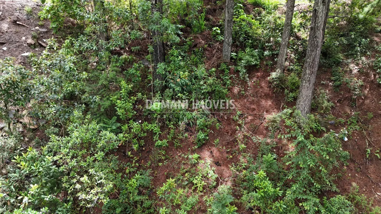 Plot for sale of 2,020 m² in Campos do Jordão, SP, Brazil