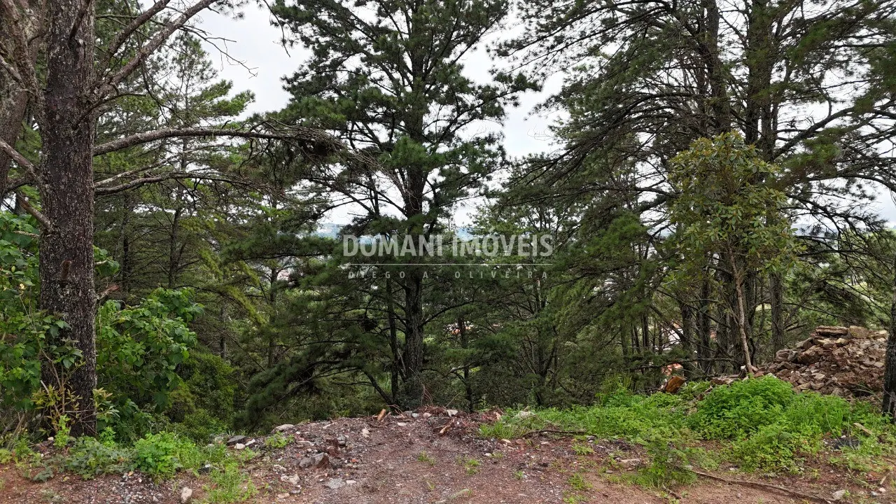 Plot for sale of 2,020 m² in Campos do Jordão, SP, Brazil