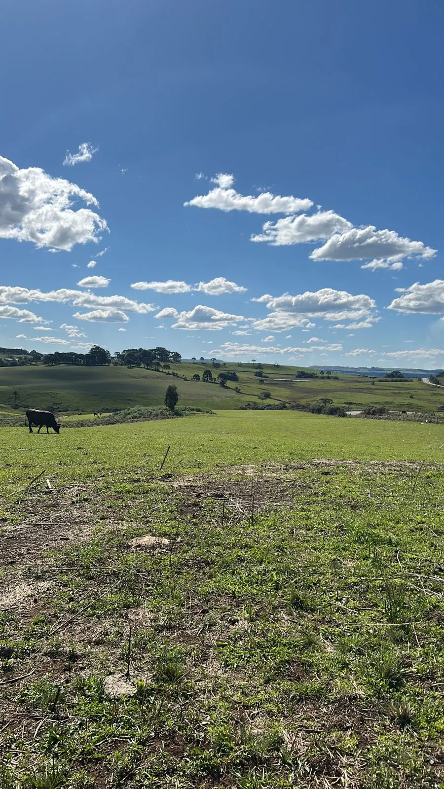 Small farm for sale of 125 acres in Lages, SC, Brazil