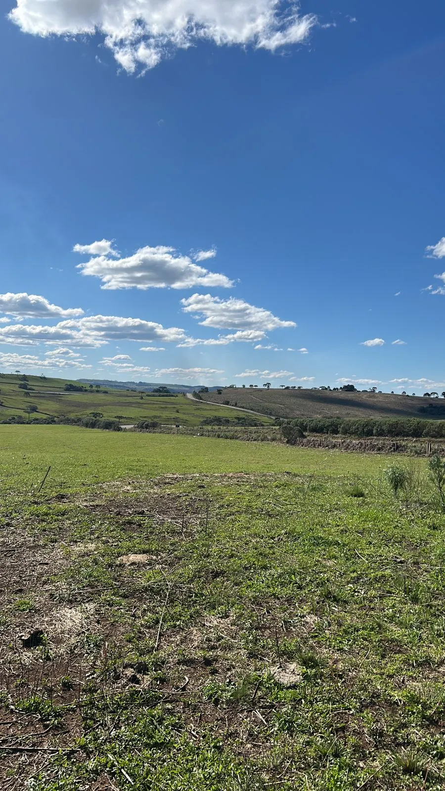 Sítio à venda de 51 ha em Lages, SC, Brasil