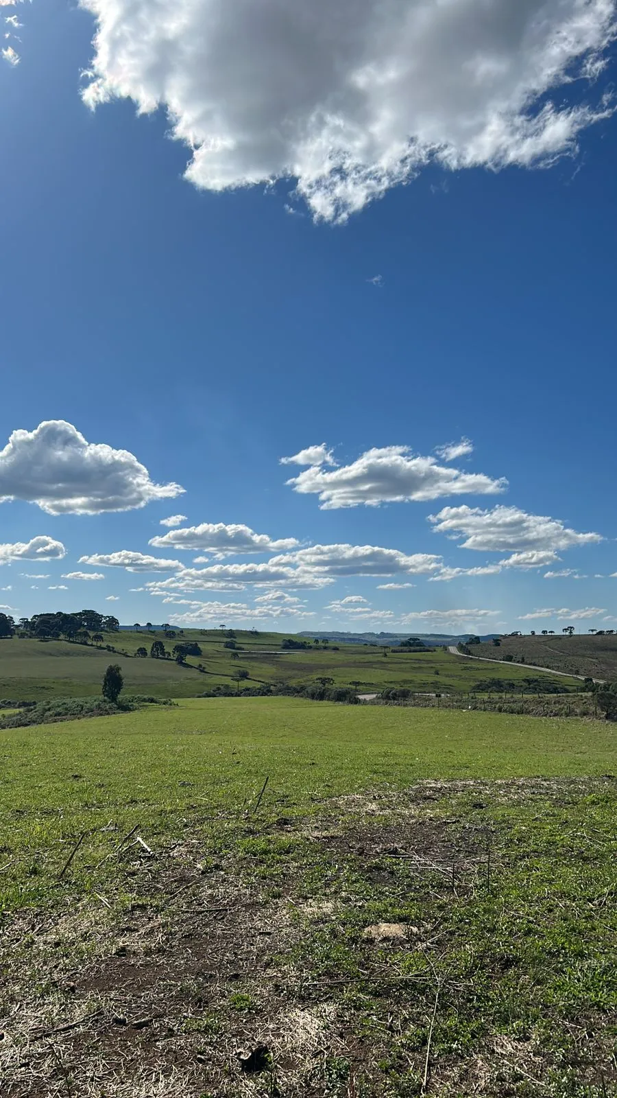 Small farm for sale of 125 acres in Lages, SC, Brazil