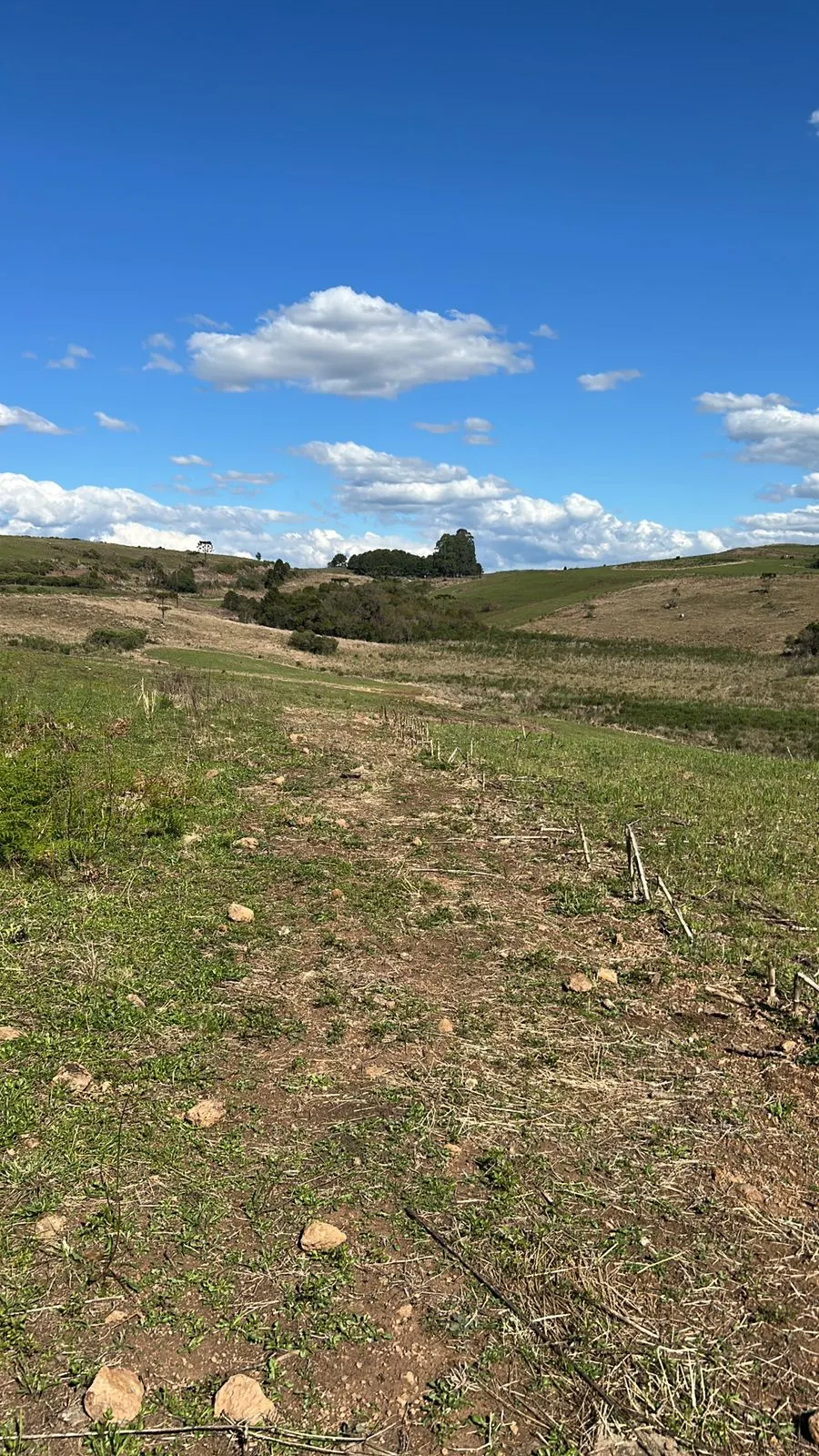 Small farm for sale of 125 acres in Lages, SC, Brazil