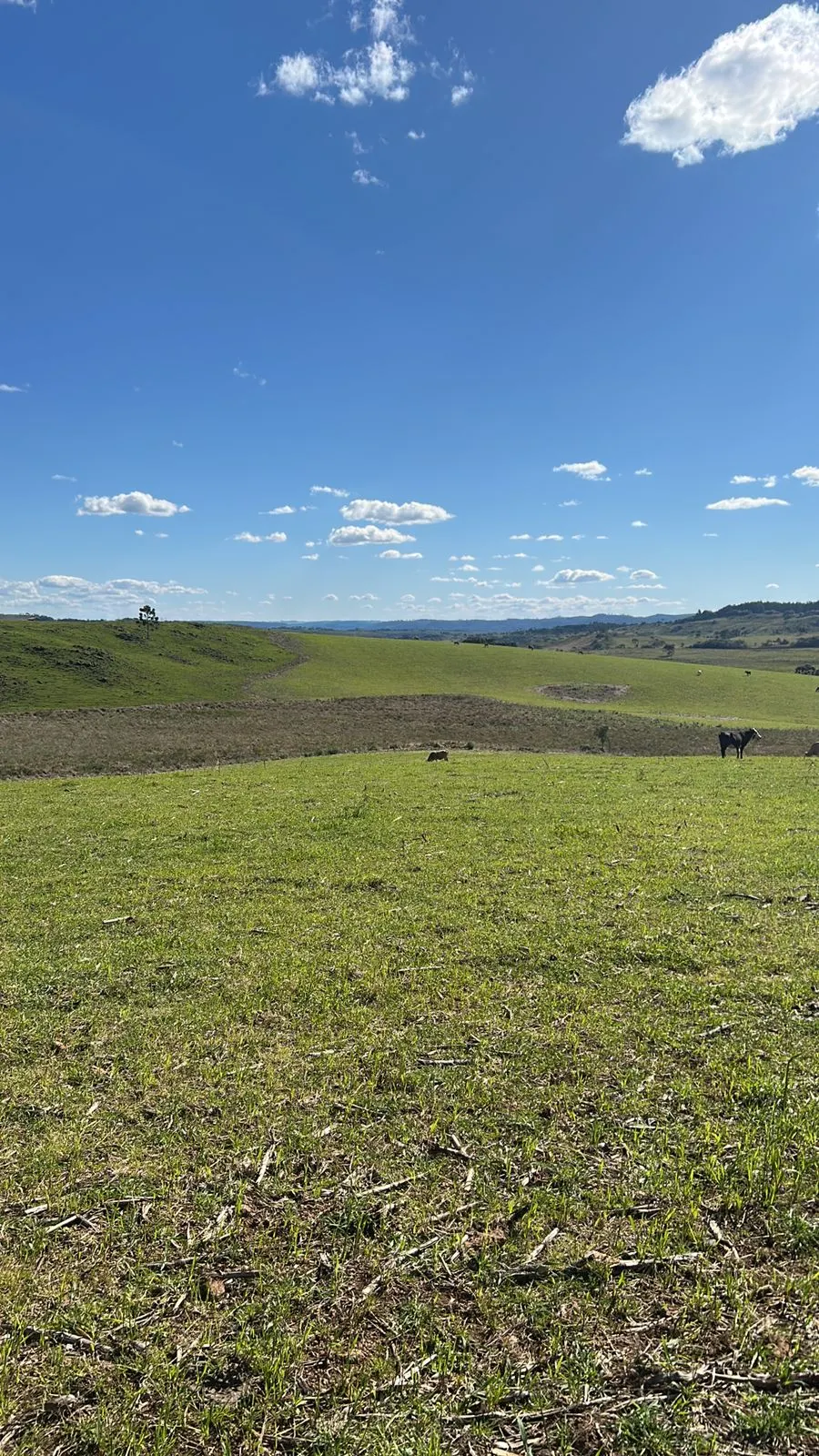 Small farm for sale of 125 acres in Lages, SC, Brazil