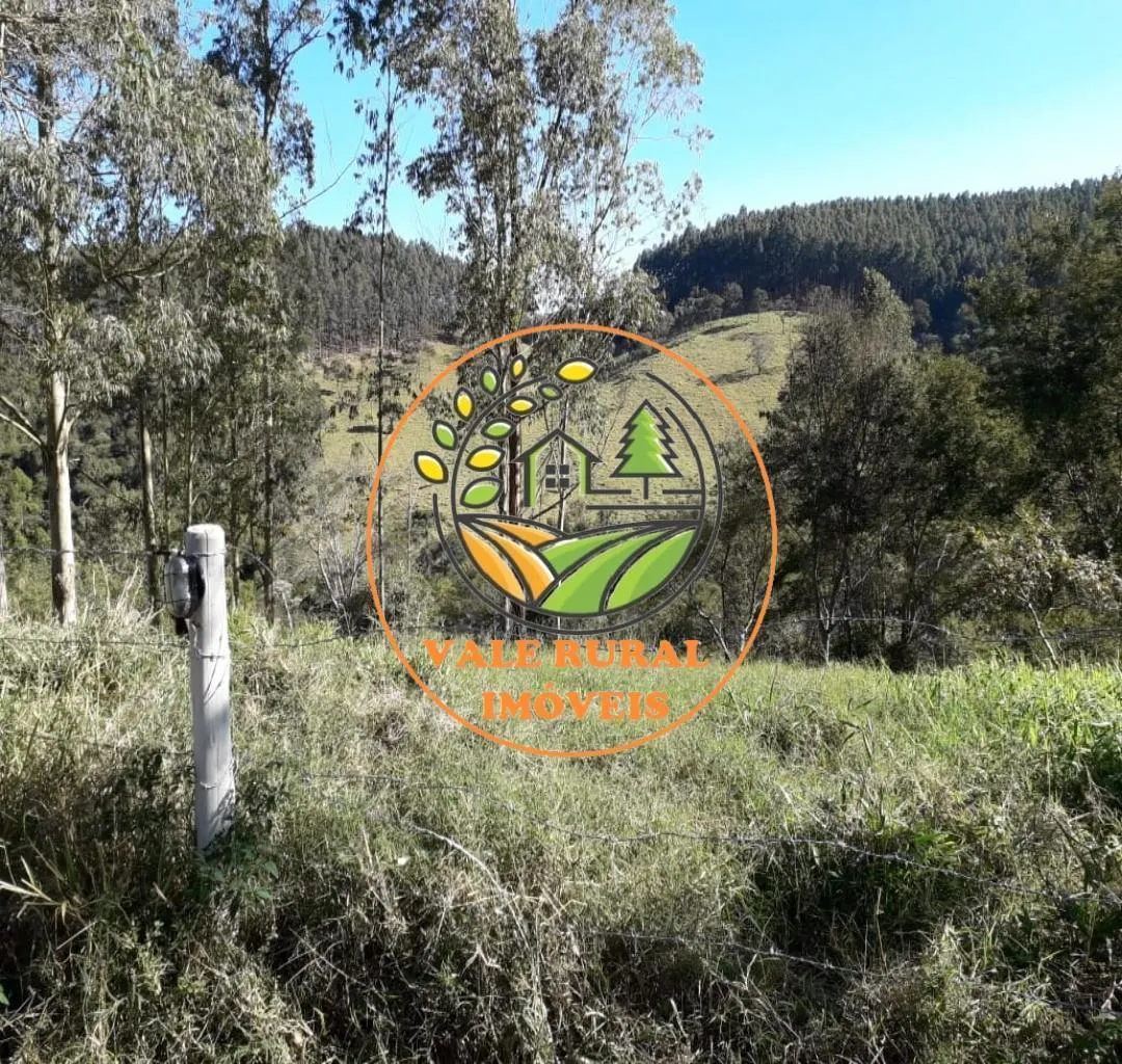 Fazenda à venda de 156 ha em Lagoinha, SP, Brasil
