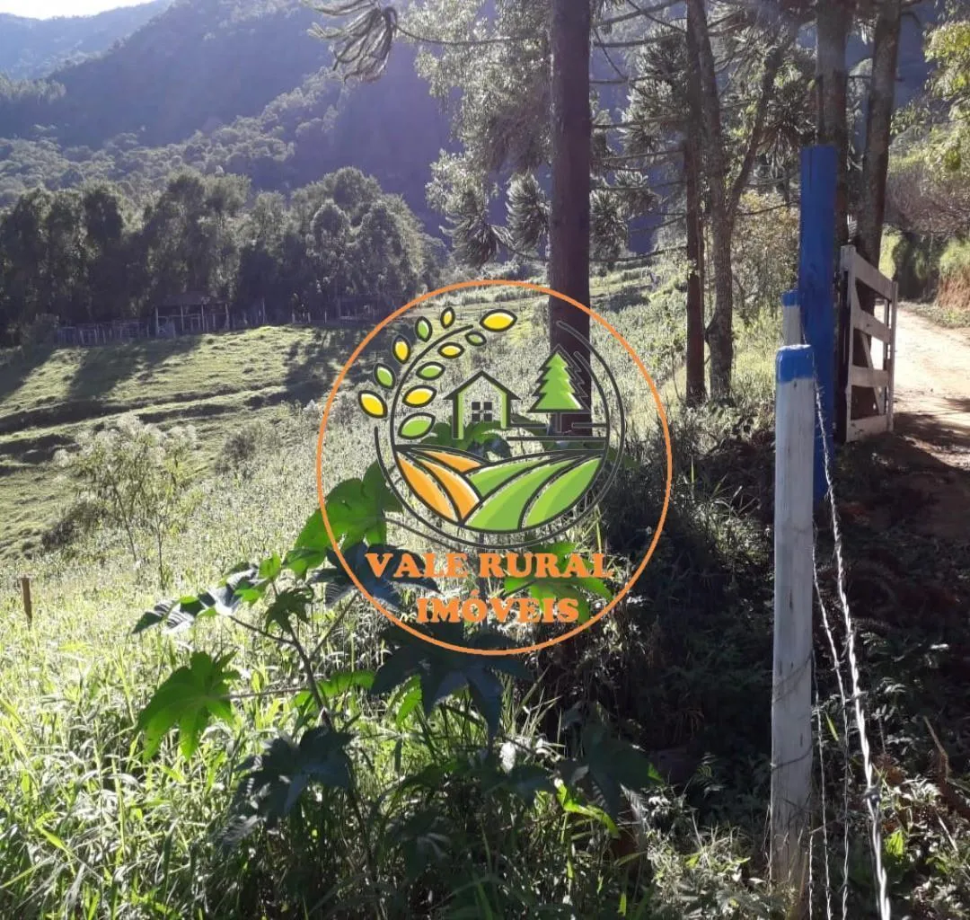 Fazenda à venda de 156 ha em Lagoinha, SP, Brasil
