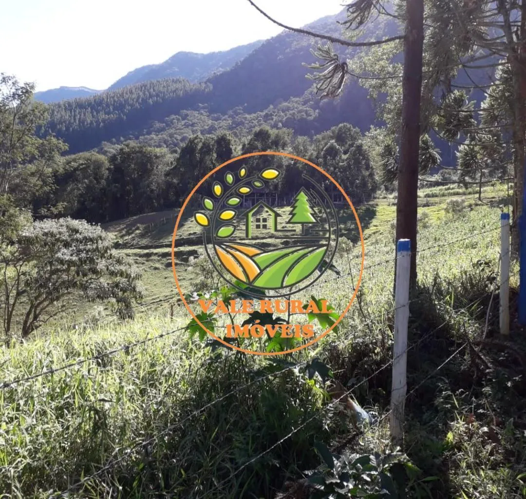 Fazenda à venda de 156 ha em Lagoinha, SP, Brasil