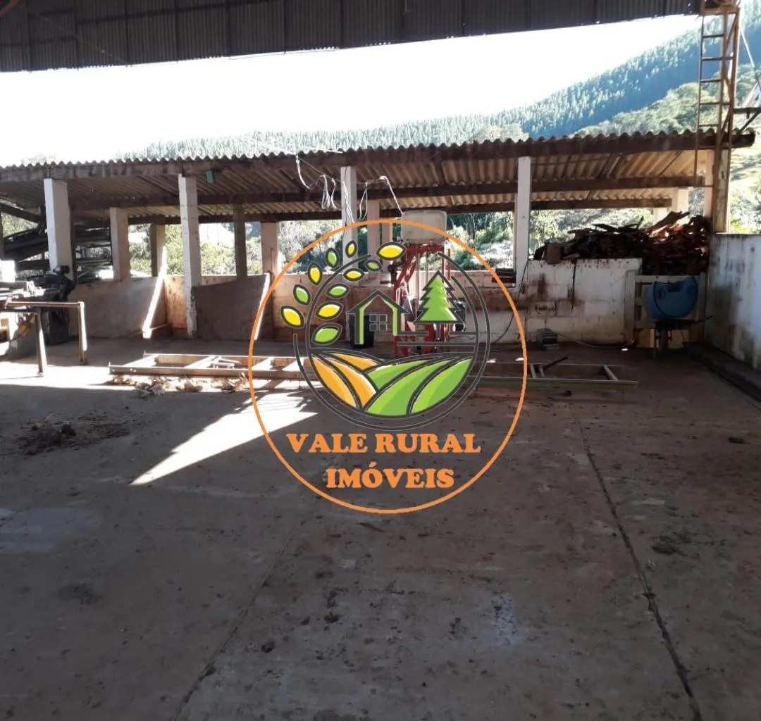Fazenda à venda de 156 ha em Lagoinha, SP, Brasil