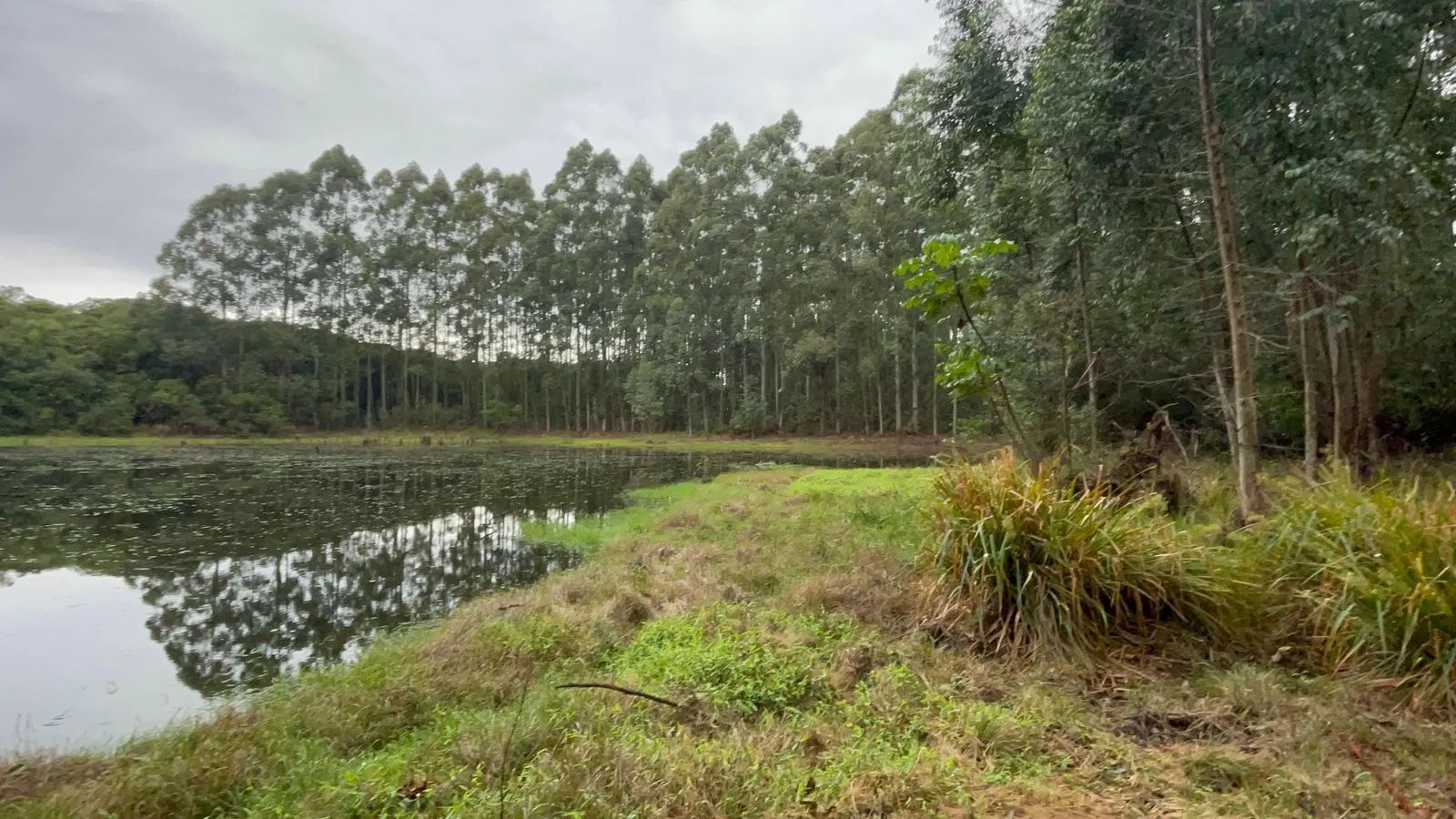 Small farm for sale of 30 acres in Glorinha, RS, Brazil