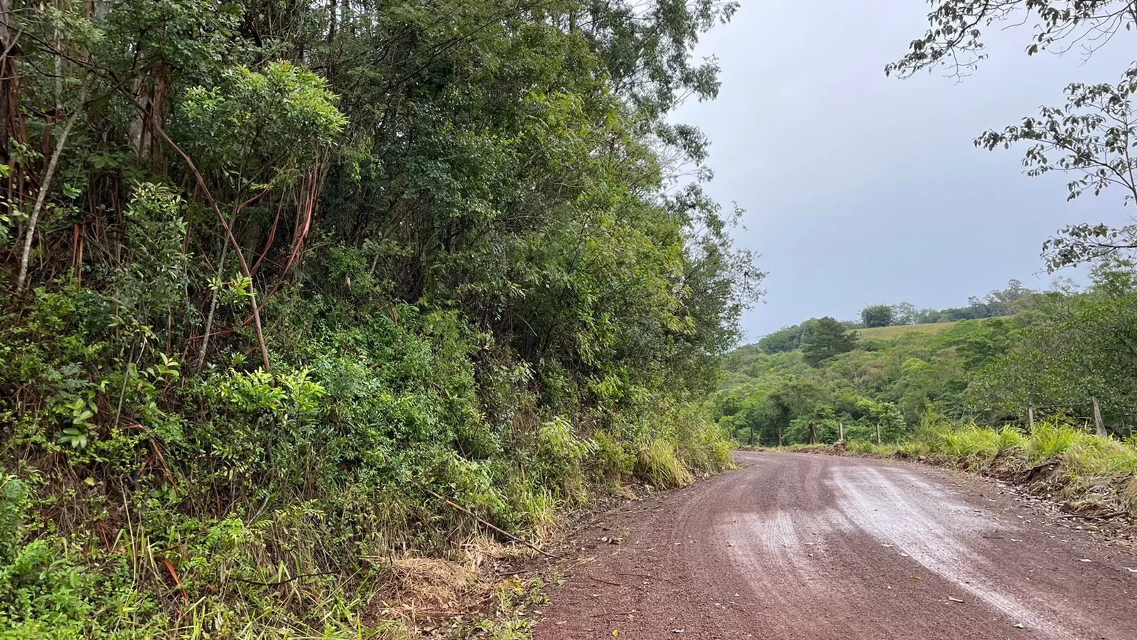 Small farm for sale of 30 acres in Glorinha, RS, Brazil