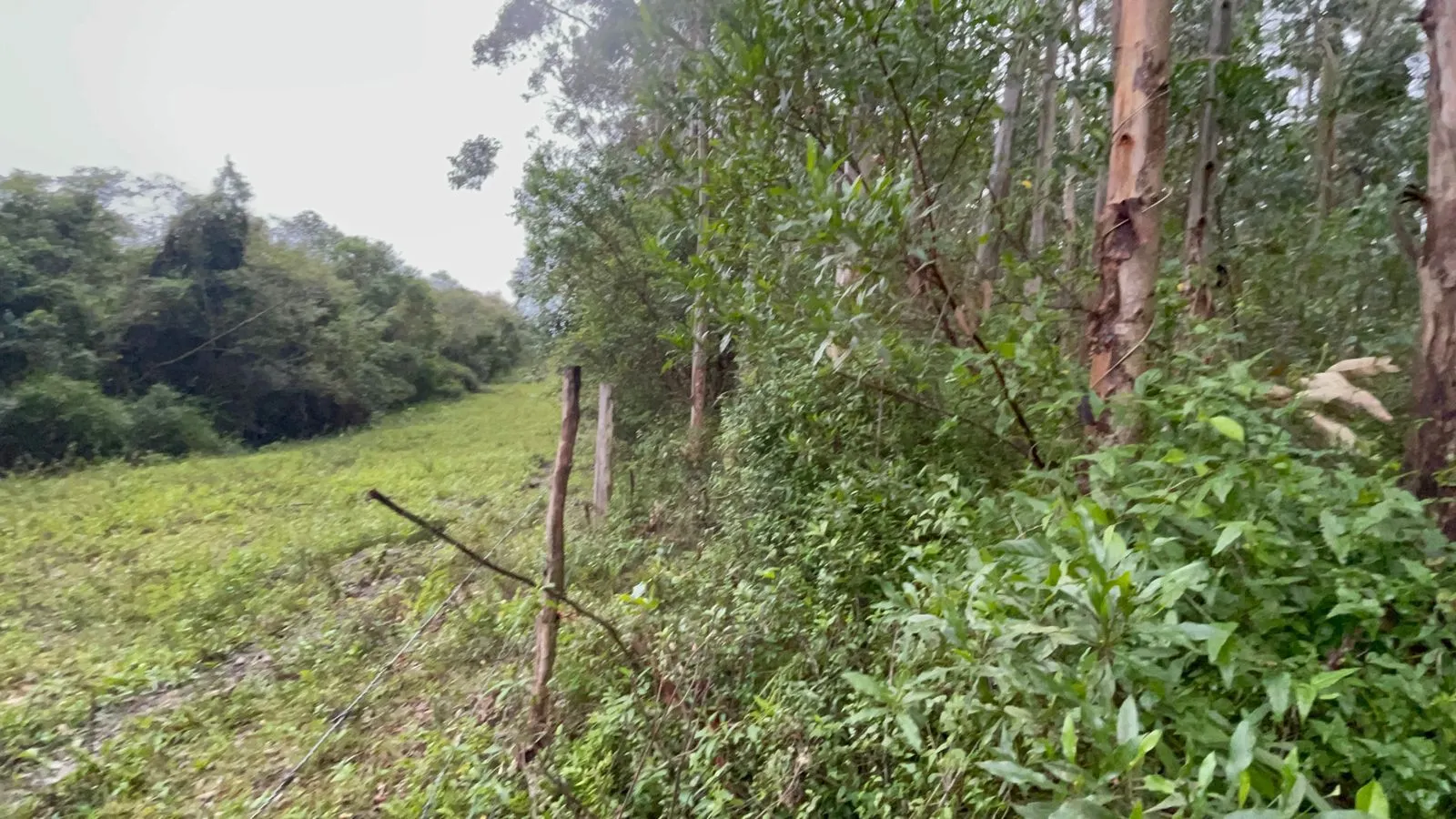 Small farm for sale of 30 acres in Glorinha, RS, Brazil