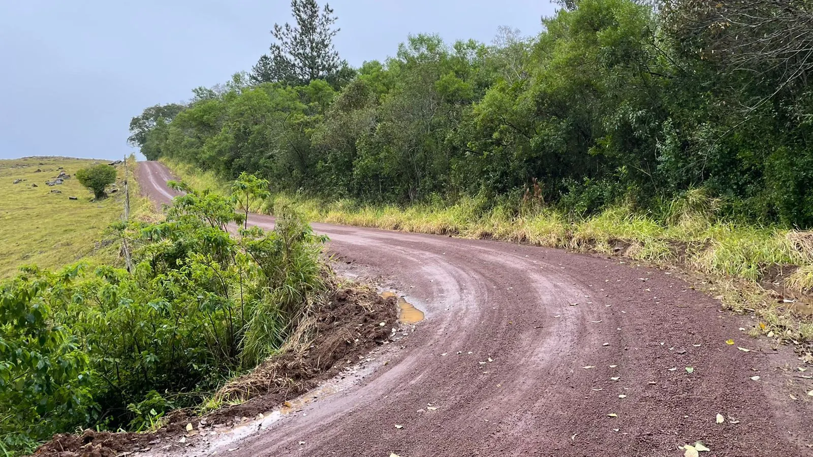 Small farm for sale of 30 acres in Glorinha, RS, Brazil