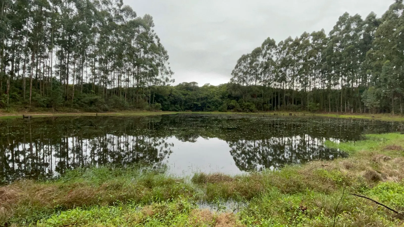 Sítio à venda de 12 ha em Glorinha, RS, Brasil