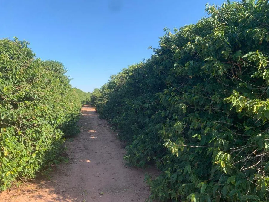 Fazenda à venda de 450 ha em Marília, SP, Brasil