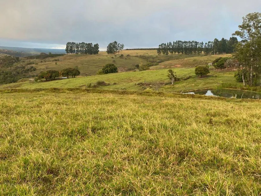 Fazenda à venda de 450 ha em Marília, SP, Brasil