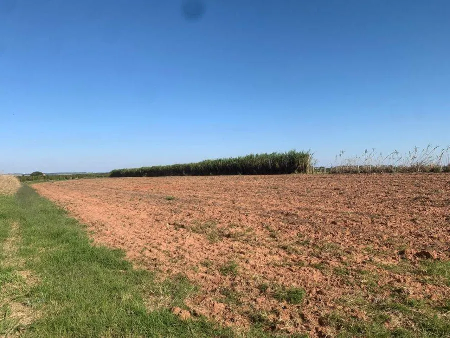Fazenda à venda de 450 ha em Marília, SP, Brasil