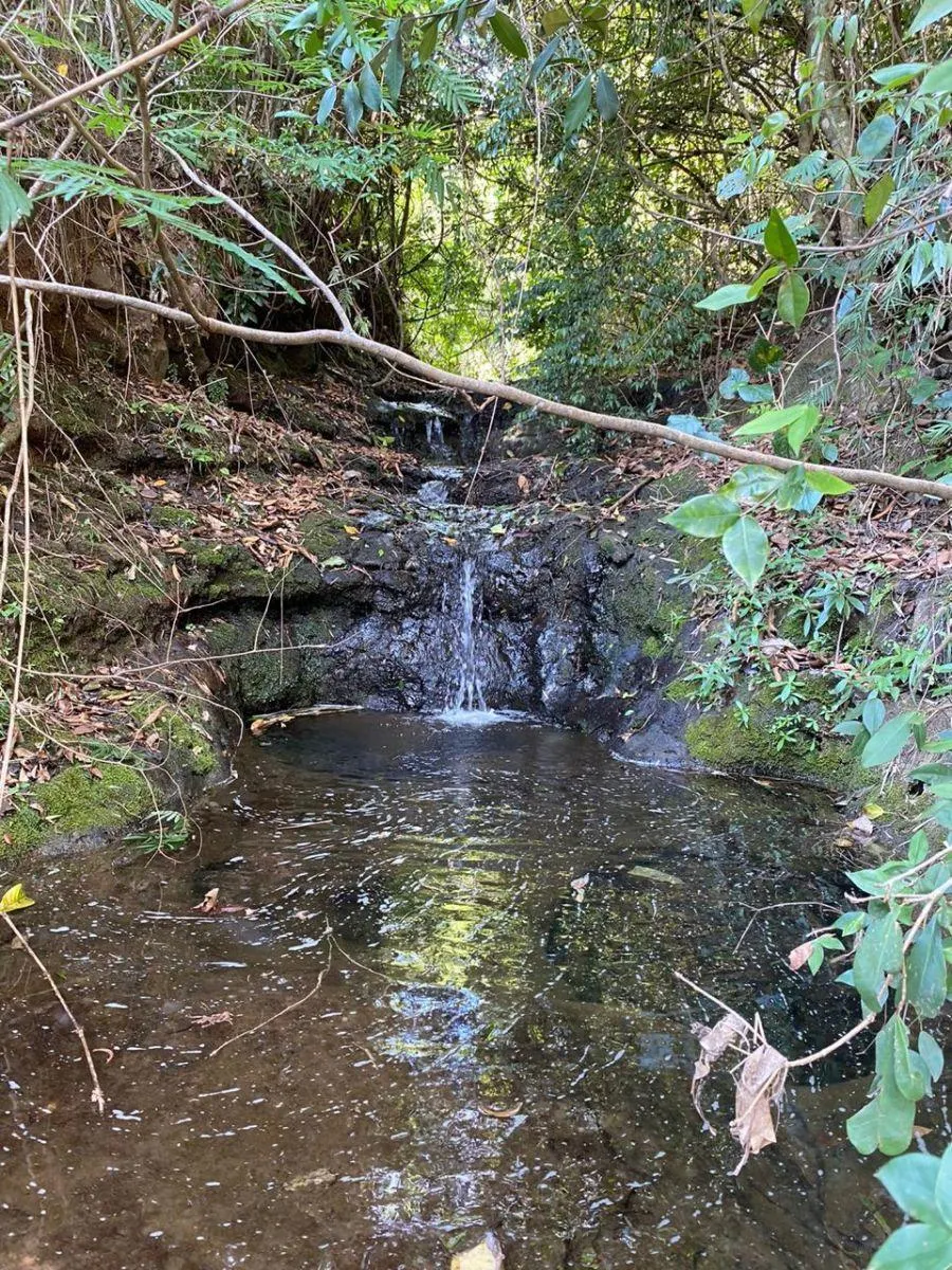 Fazenda à venda de 450 ha em Marília, SP, Brasil