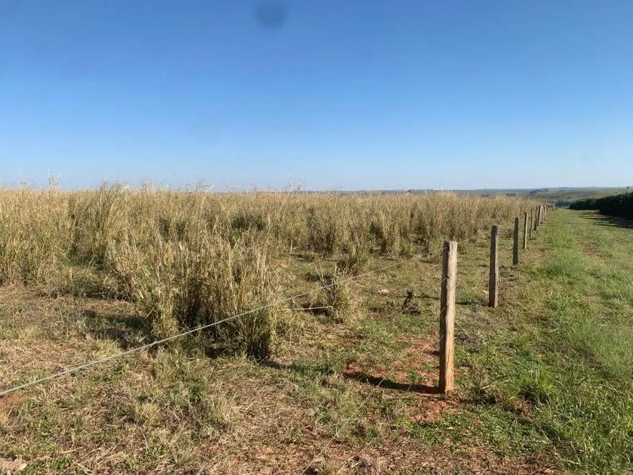 Fazenda à venda de 450 ha em Marília, SP, Brasil