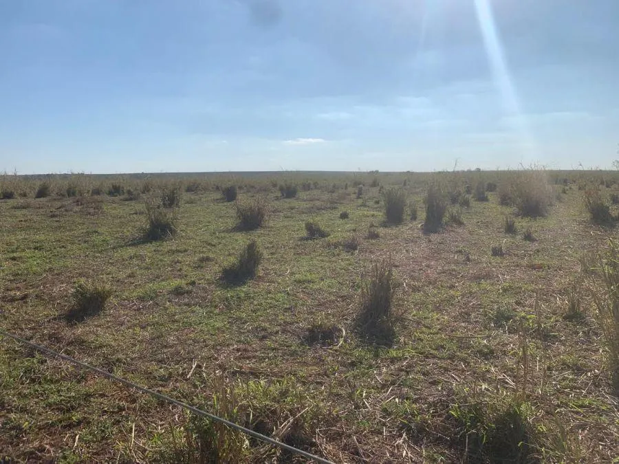Fazenda à venda de 450 ha em Marília, SP, Brasil