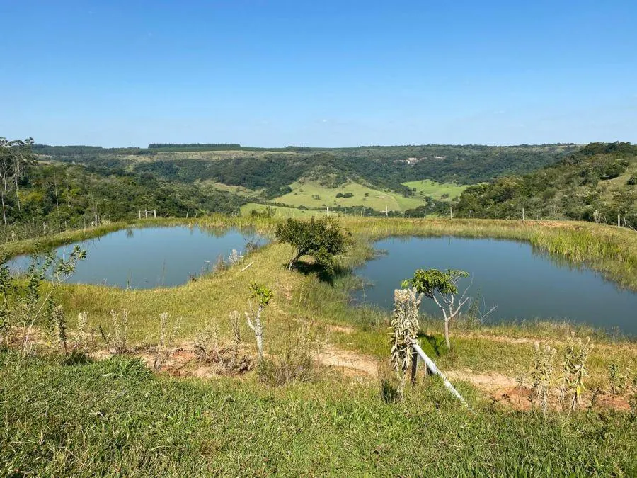 Fazenda à venda de 450 ha em Marília, SP, Brasil